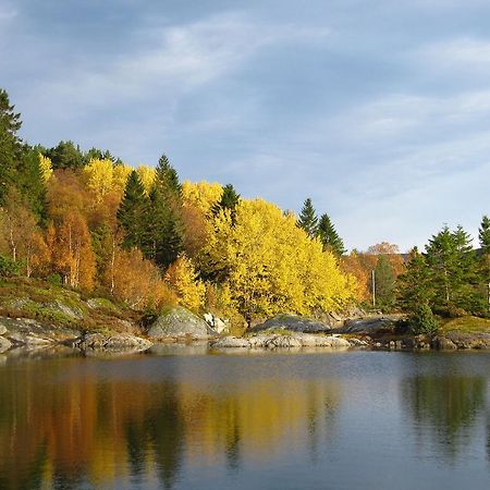 Skomakergarden Ульстейнвик Экстерьер фото