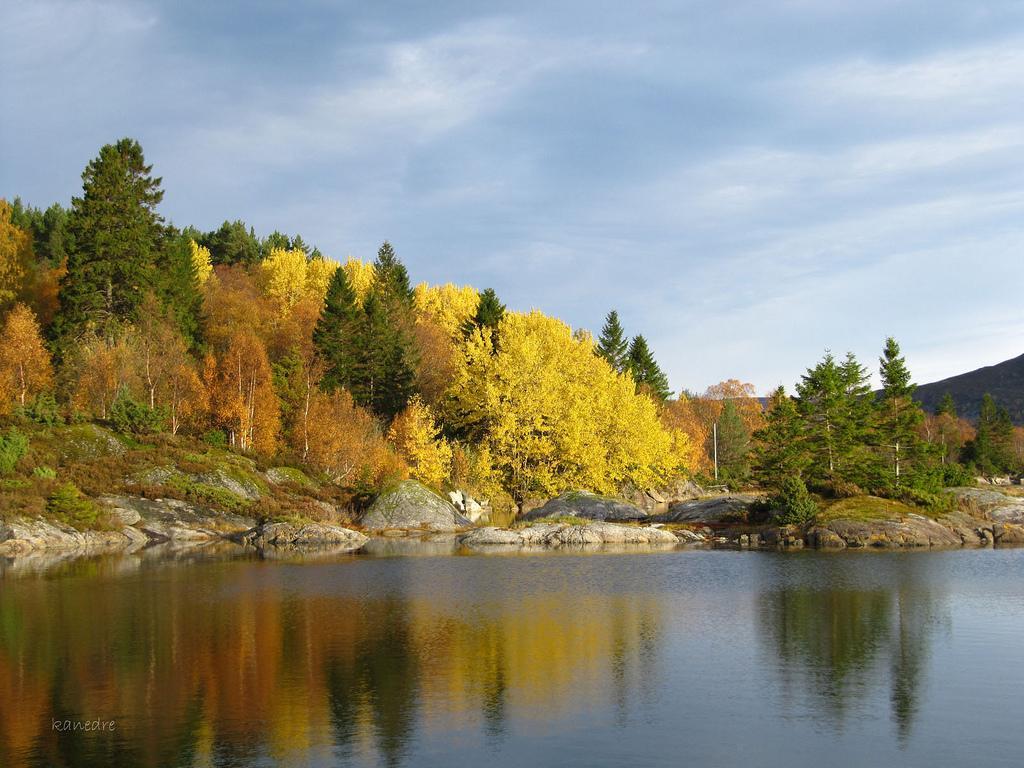 Skomakergarden Ульстейнвик Экстерьер фото